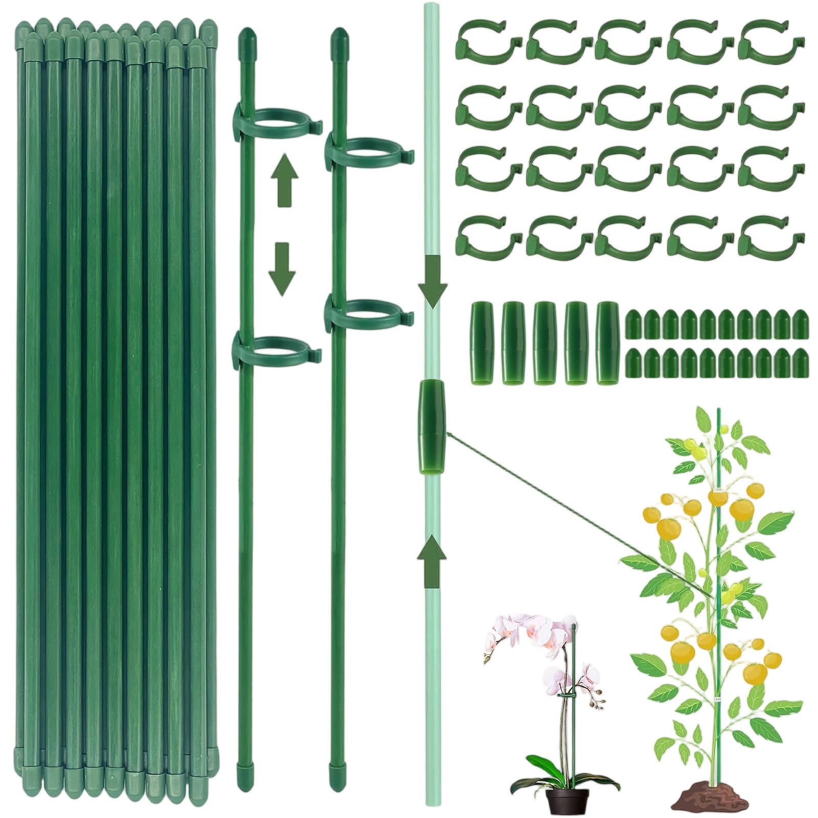 Orchid Potting Mix - Plant Supports Rod Single Stem Shrub