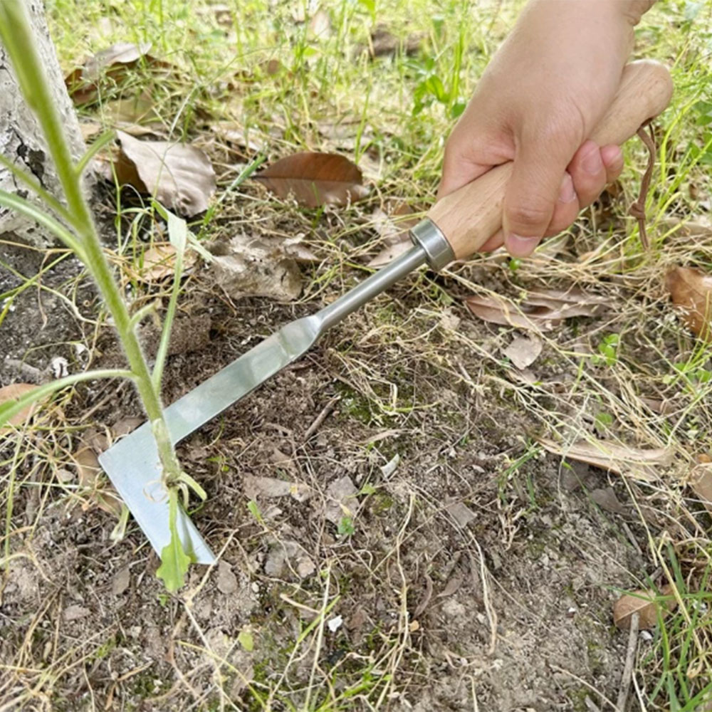 Stainless Steel Gap Weeding To - Gardening Hand Tools Yard review and price