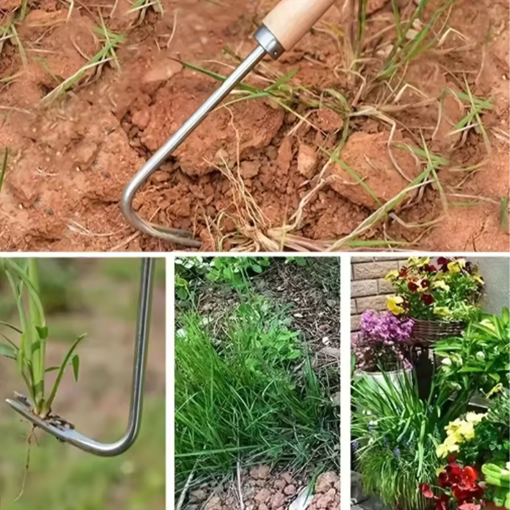 Stainless Steel Gap Weeding To - Gardening Hand Tools Yard review and price