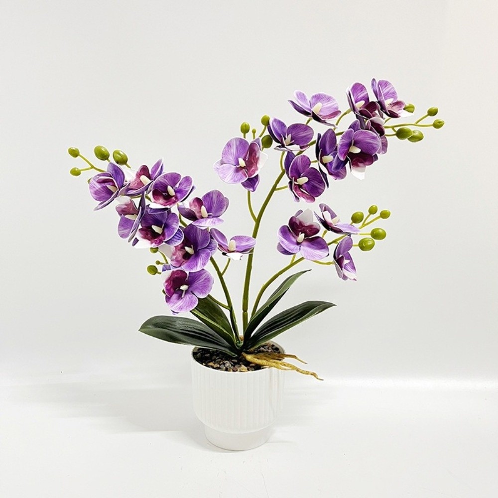 Multi-Bloom Simulated Butterfl - Orchid Potting Mix review and price