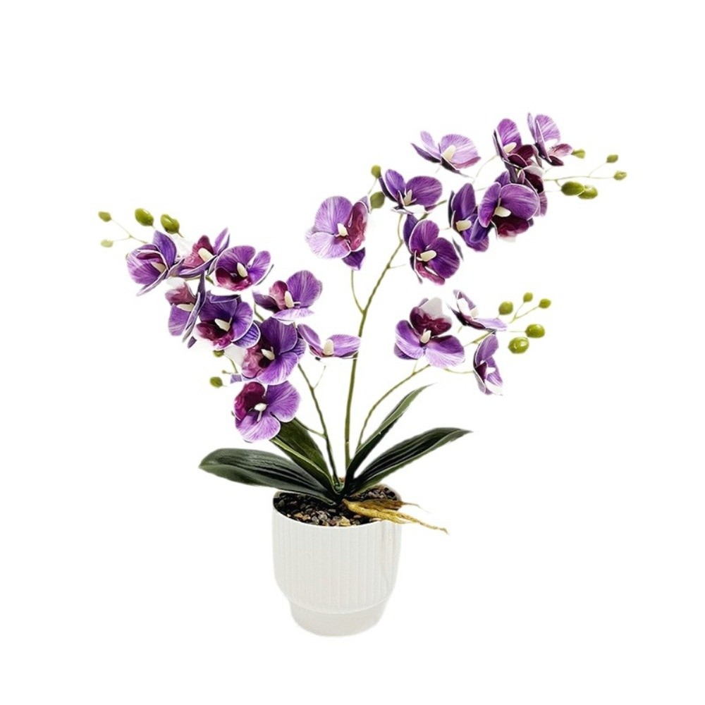 Multi-Bloom Simulated Butterfl - Orchid Potting Mix review and price