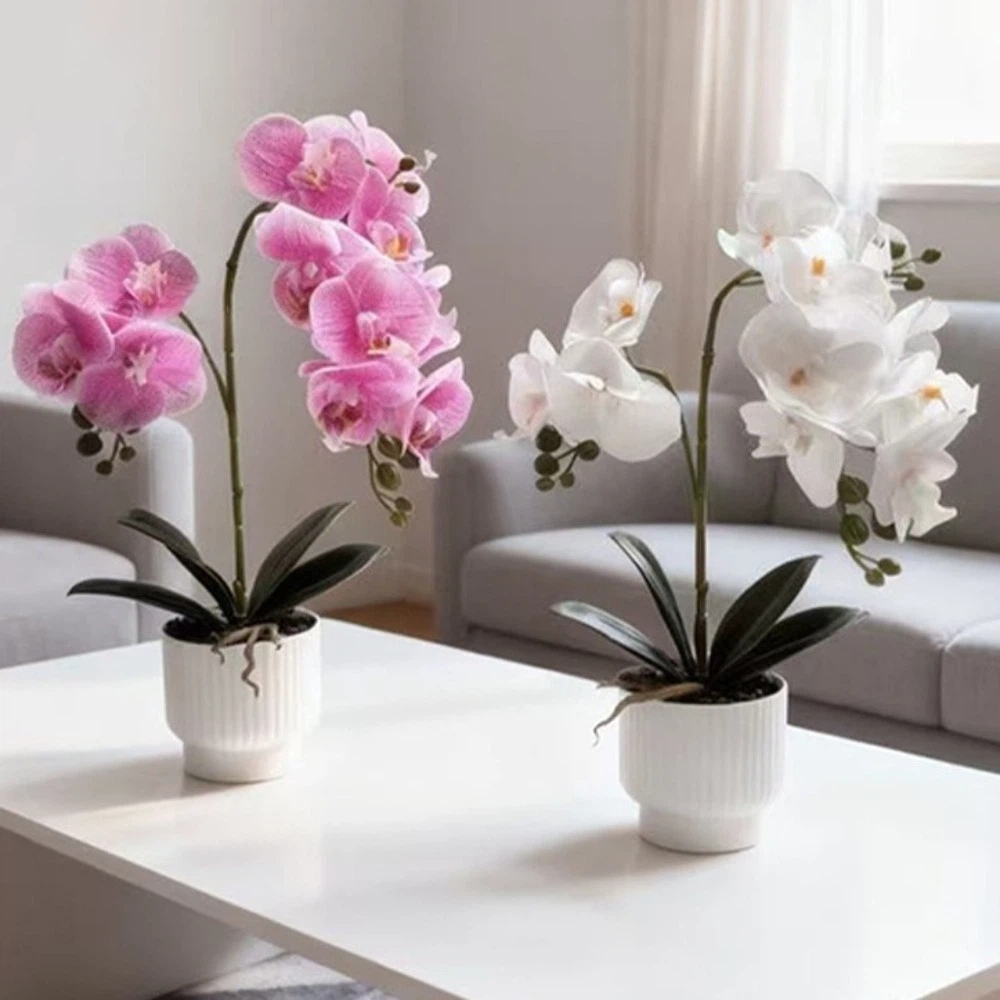 Multi-Bloom Simulated Butterfl - Orchid Potting Mix review and price