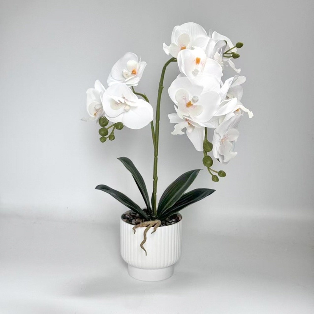 Multi-Bloom Simulated Butterfl - Orchid Potting Mix review and price