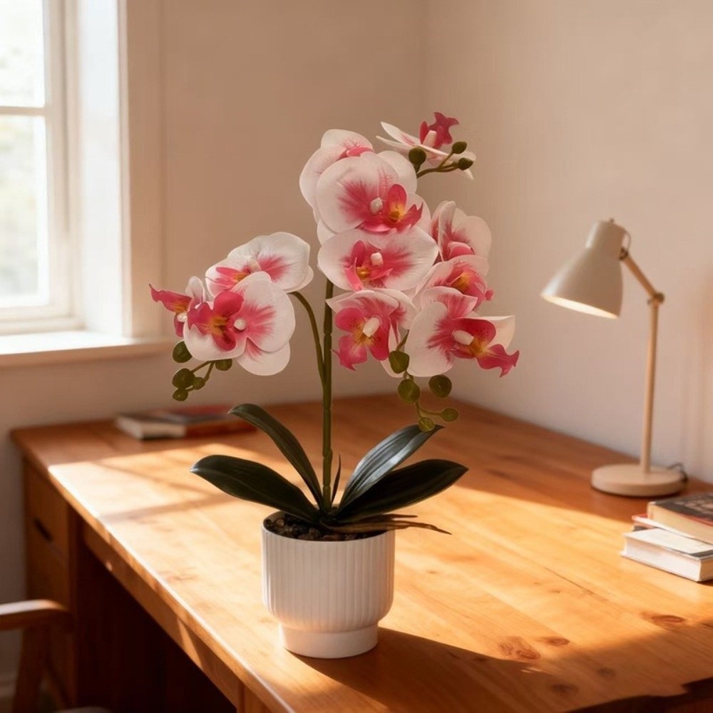 Multi-Bloom Simulated Butterfl - Orchid Potting Mix review and price