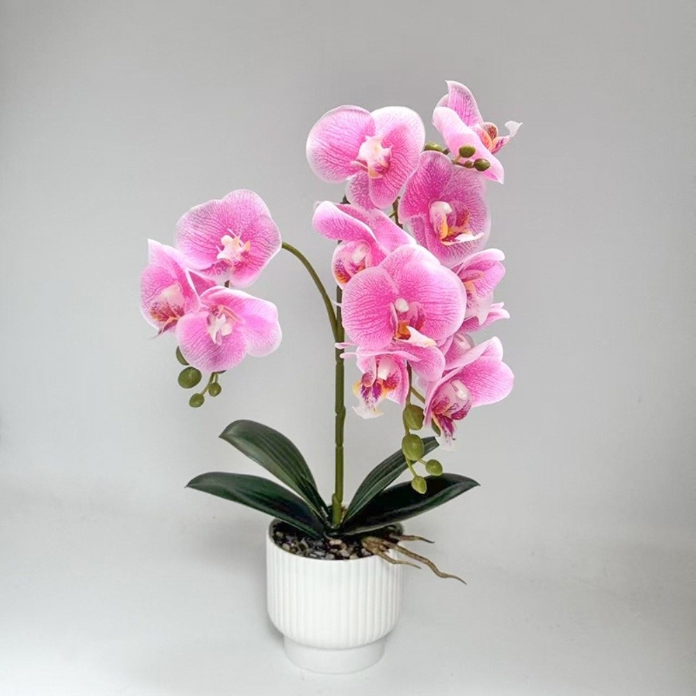Multi-Bloom Simulated Butterfl - Orchid Potting Mix review and price
