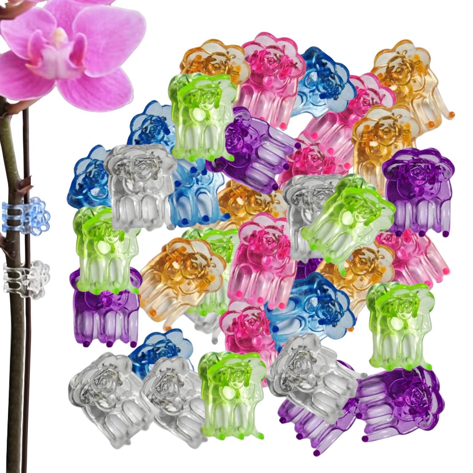 Orchid Clips 60 Pieces Butterf - Orchid Potting Mix review and price