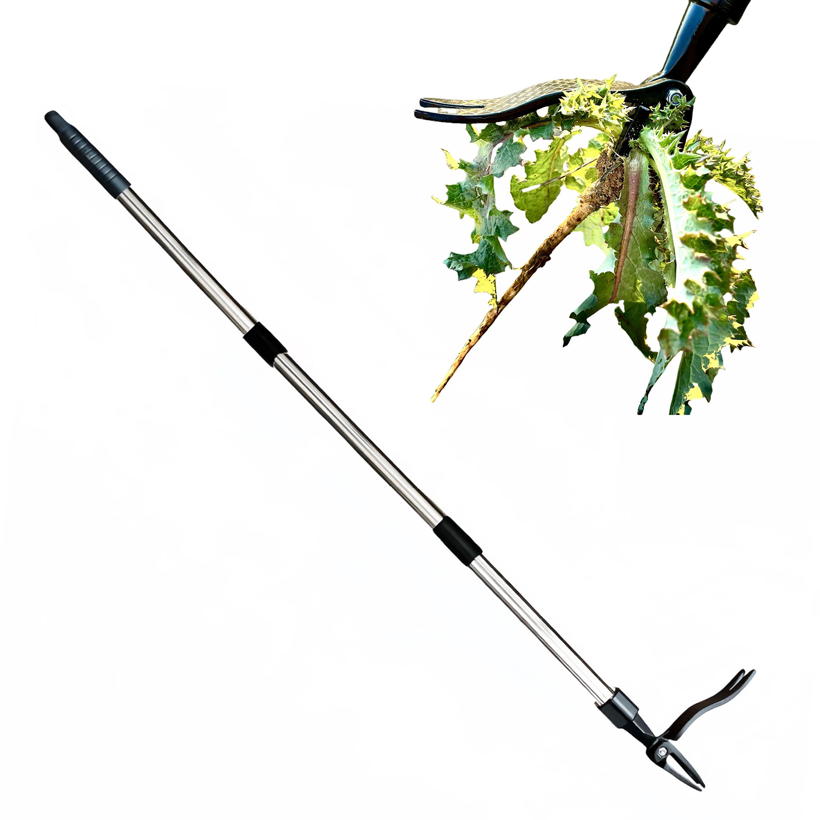 4 Claw Stand Up Weed Puller St - Gardening Hand Tools Yard review and price