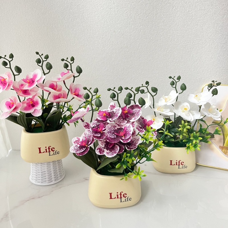 Elegant Nordic Style High-End  - Orchid Potting Mix review and price