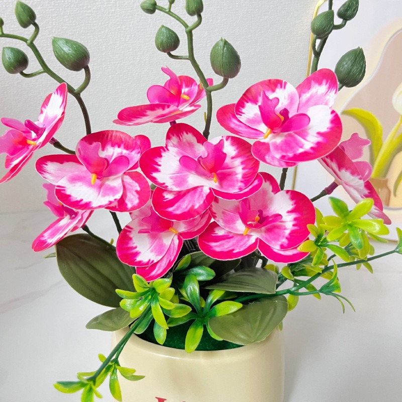 Elegant Nordic Style High-End  - Orchid Potting Mix review and price