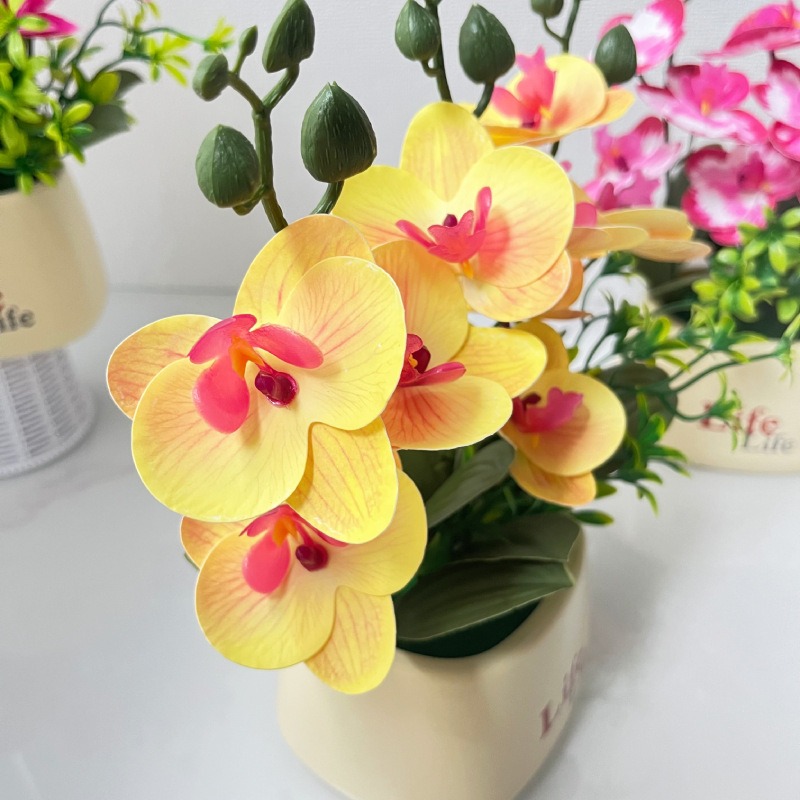 Elegant Nordic Style High-End  - Orchid Potting Mix review and price