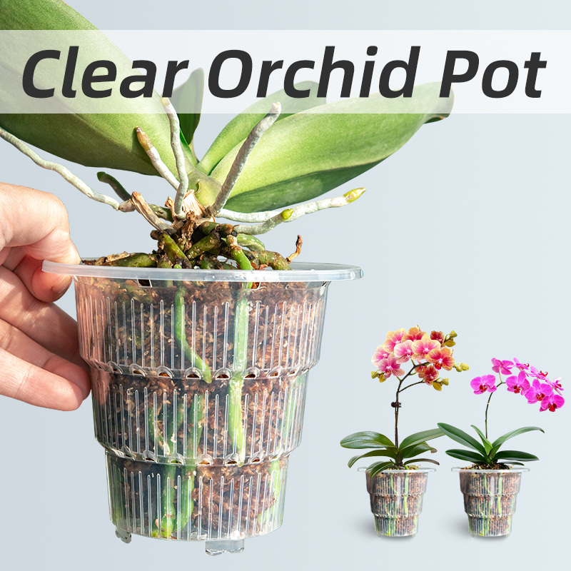 Meshpot Clear Plastic Orchid P - Orchid Potting Mix review and price