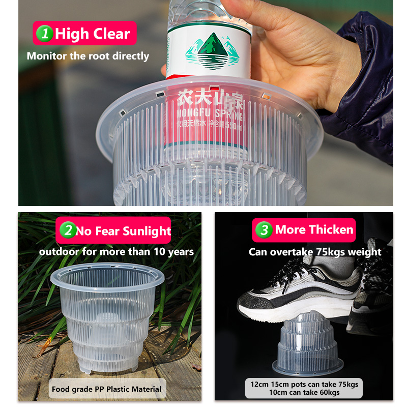Meshpot Clear Plastic Orchid P - Orchid Potting Mix review and price