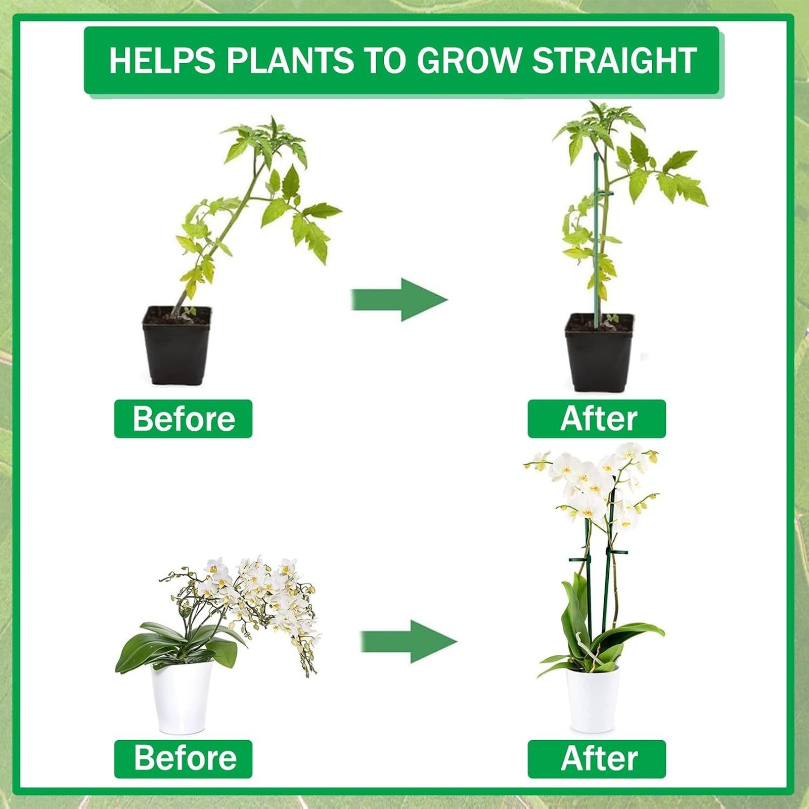 Plant Supports Rod Single Stem - Orchid Potting Mix review and price