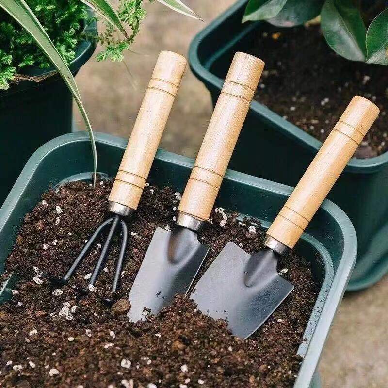 3Pcs Mini Gardening Tool Set w - Gardening Tools Shovel review and price