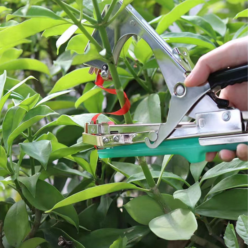 Garden Plants Branch Hand Tyin - Gardening Tools Kit For Home Garden review and price