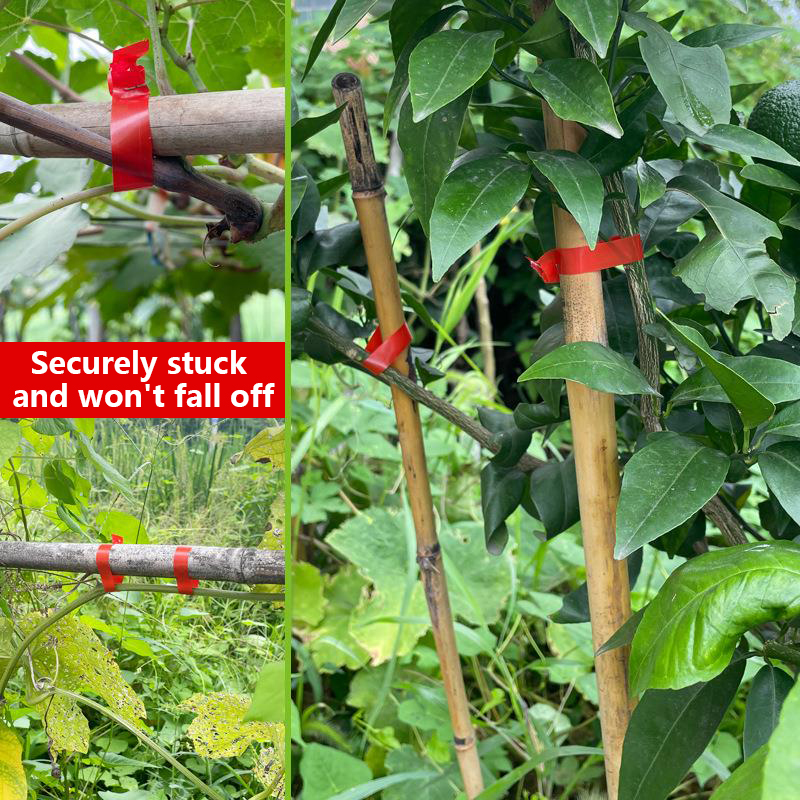Garden Plants Branch Hand Tyin - Gardening Tools Kit For Home Garden review and price