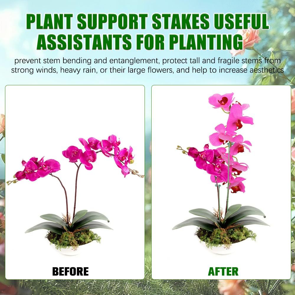 5/10PCS Plant Supports Stand B - Orchid Potting Mix review and price