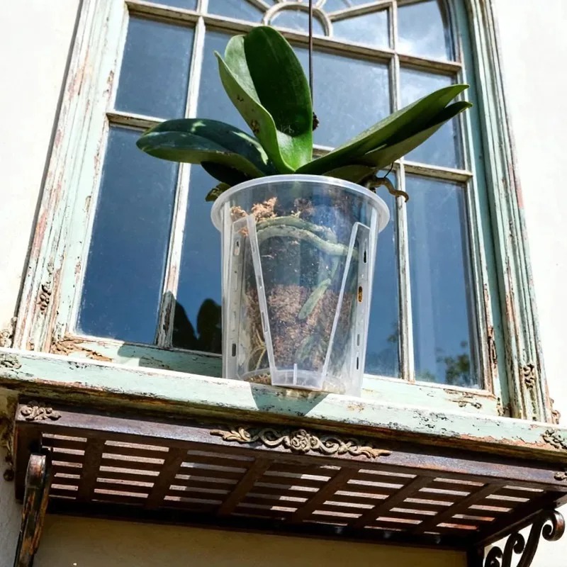 S/M/L/XL Clear Root Control Fl - Orchid Potting Mix review and price