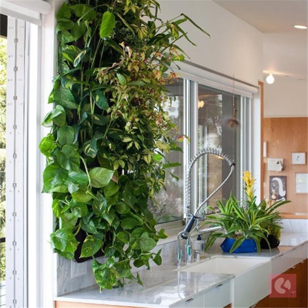 1Pcs Felt Wall Hanging Plant B - Grow Bags review and price
