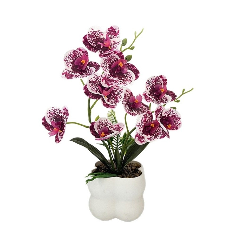 Multi-Bloom Simulated Butterfl - Orchid Potting Mix review and price