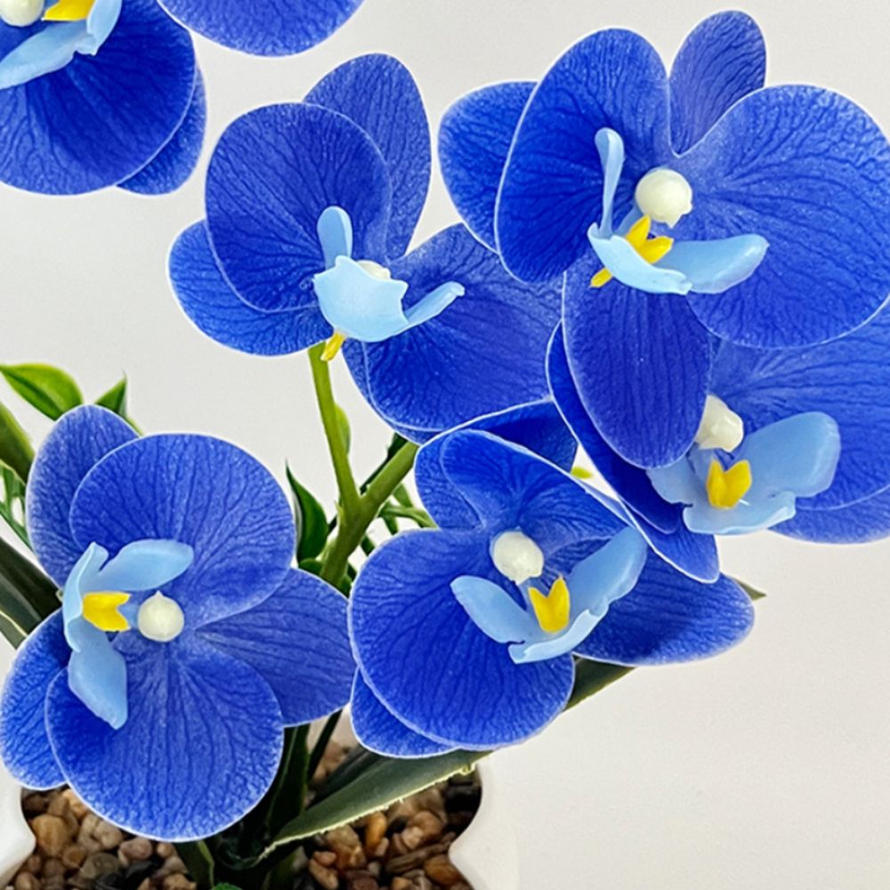 Multi-Bloom Simulated Butterfl - Orchid Potting Mix review and price