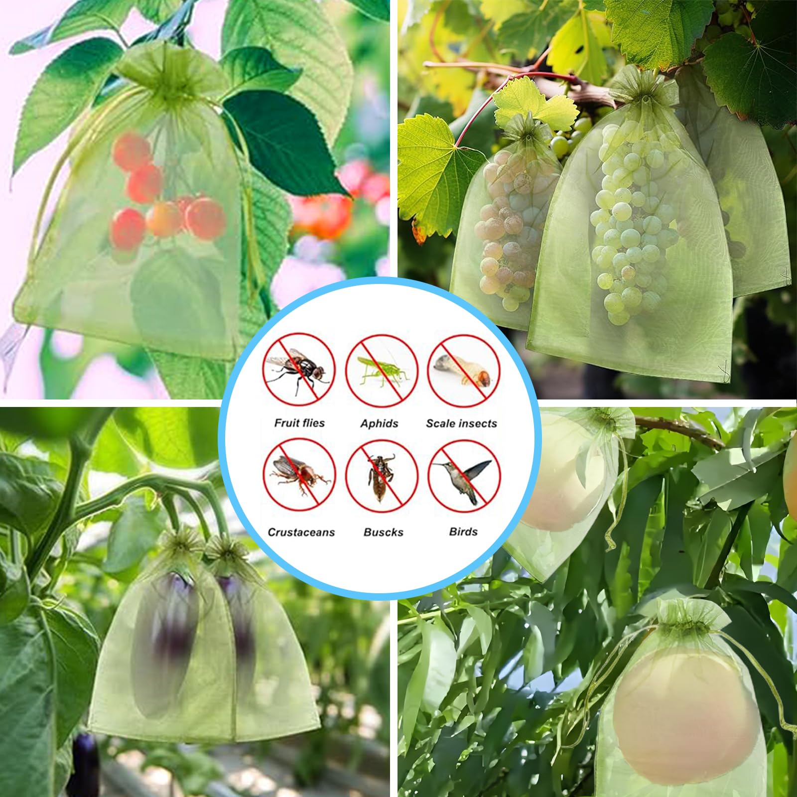 Effective Anti-Bird Netting Fr - Grow Bags review and price