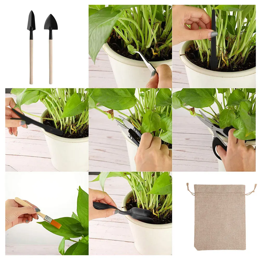 13PCS Succulent Plants Tool Se - Gardening Tools Kit For Home Garden review and price