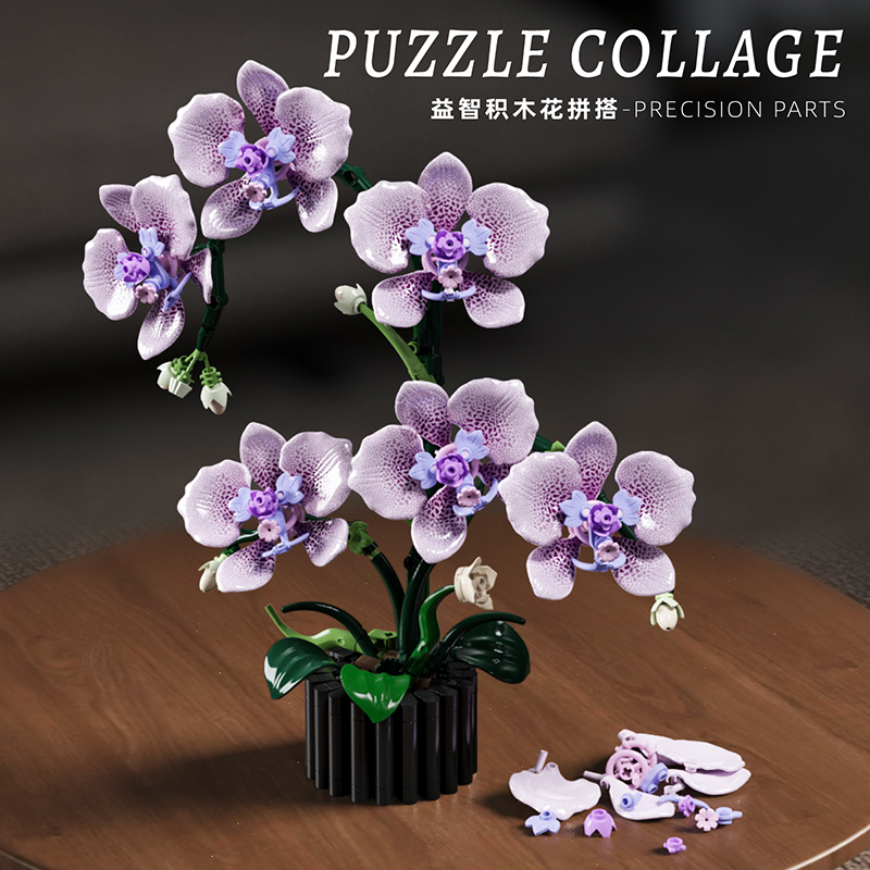 619PCS Phalaenopsis Building B - Orchid Potting Mix review and price