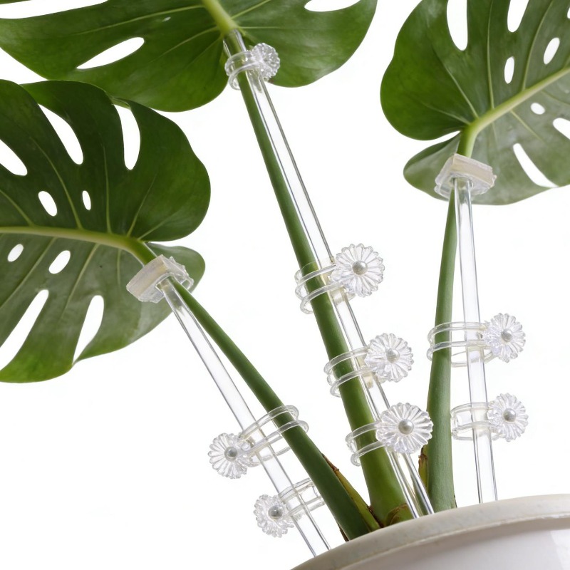 Reusable Clear Flower Support  - Orchid Potting Mix review and price