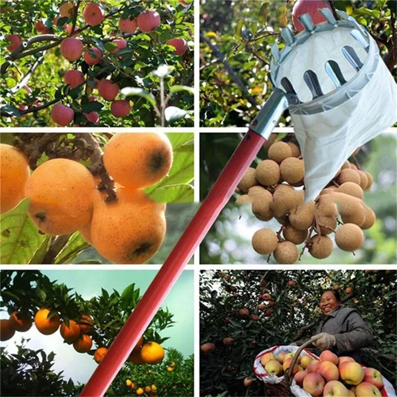 Farm Fruit Picker Garden Orcha - Grow Bags review and price