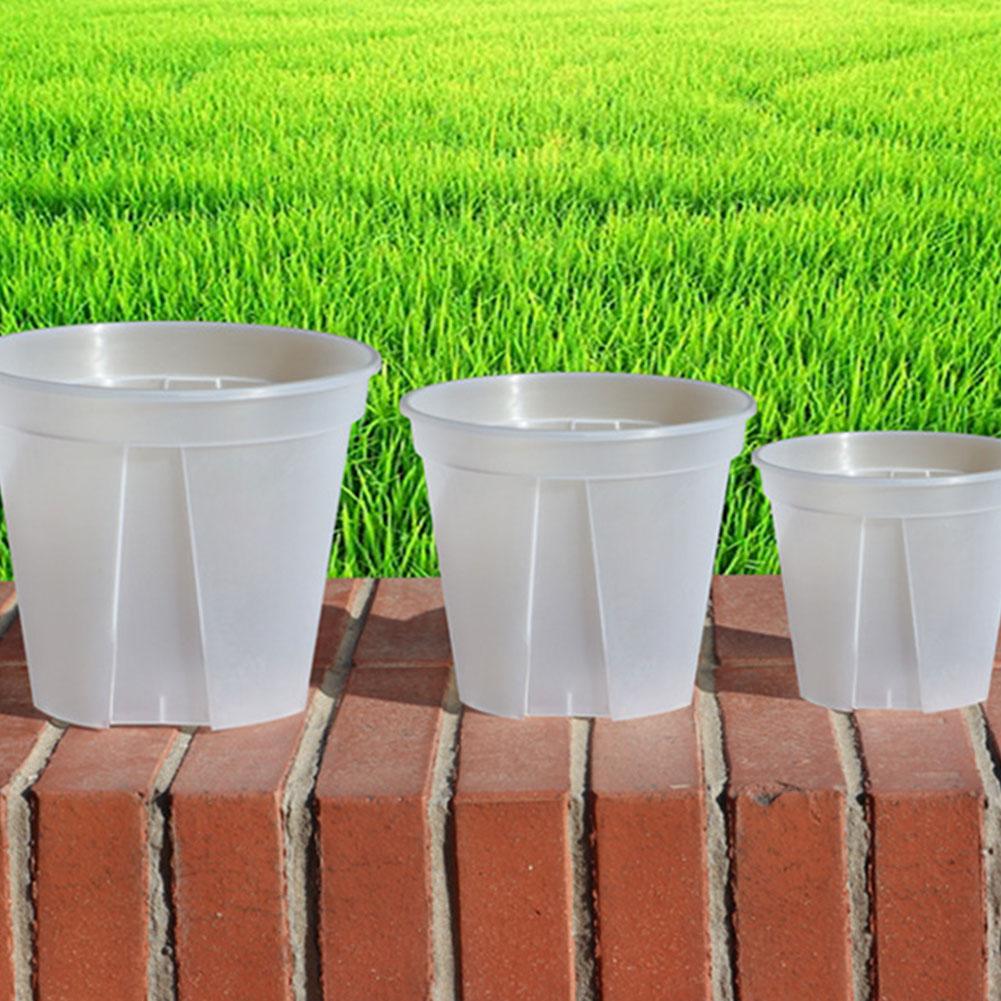 Transparent Plastic Pots Root  - Orchid Potting Mix review and price