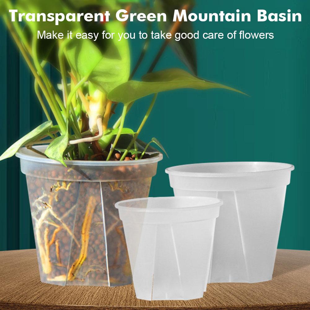 Transparent Plastic Pots Root  - Orchid Potting Mix review and price
