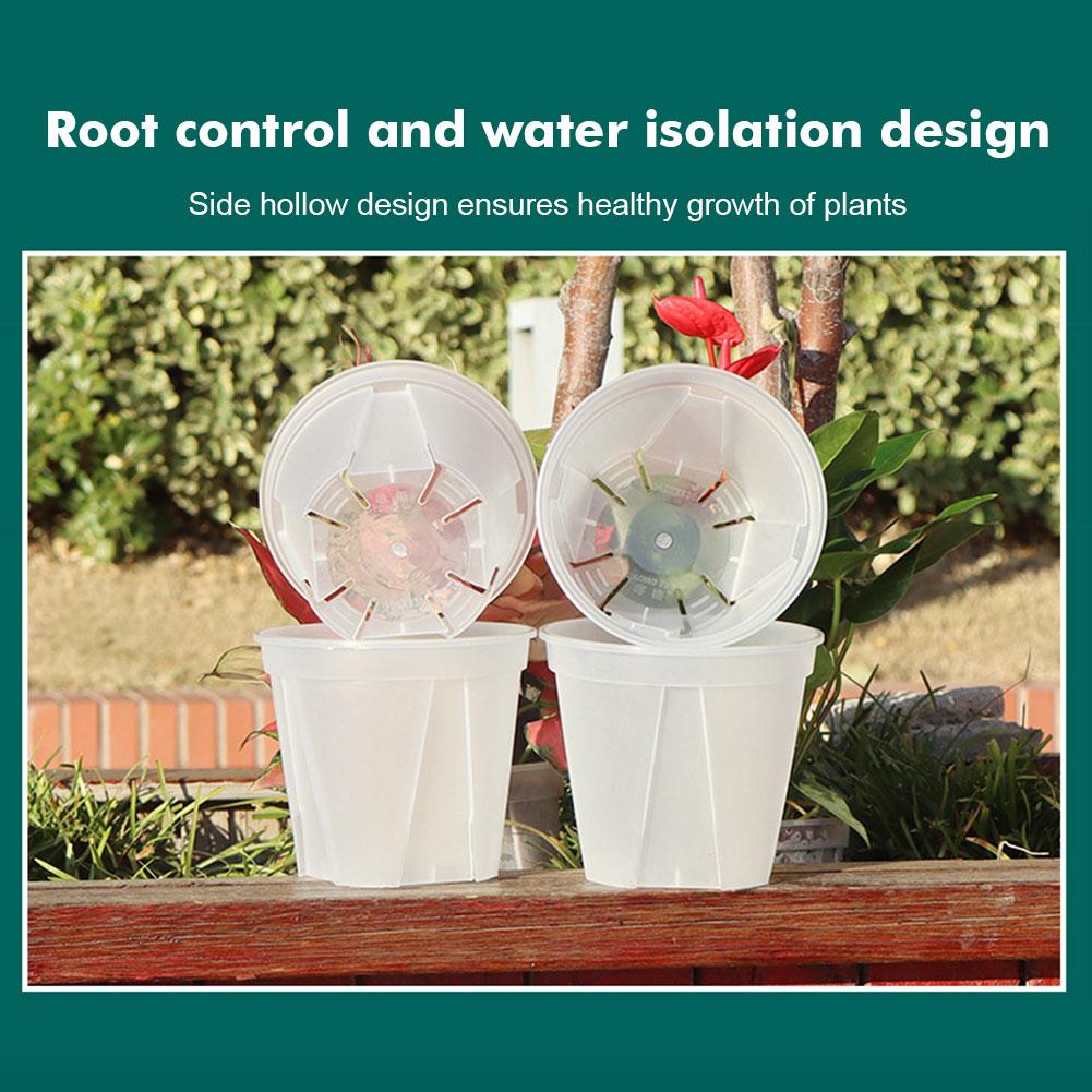 Transparent Plastic Pots Root  - Orchid Potting Mix review and price