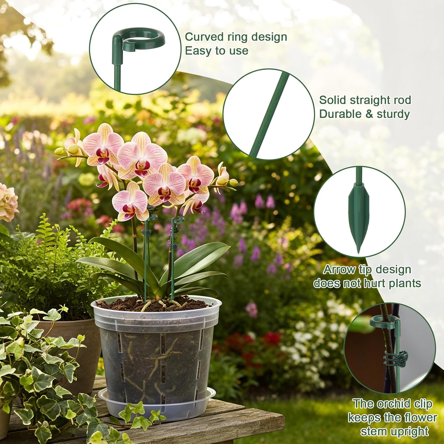 5/10pcs Plant Support Stakes P - Orchid Potting Mix review and price
