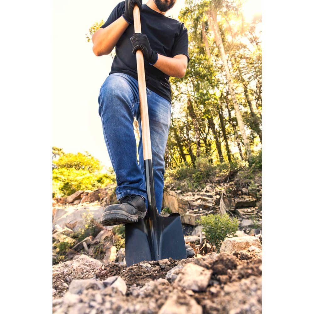 Heavy Duty Carbon Steel Garden - Gardening Hand Tools Yard review and price