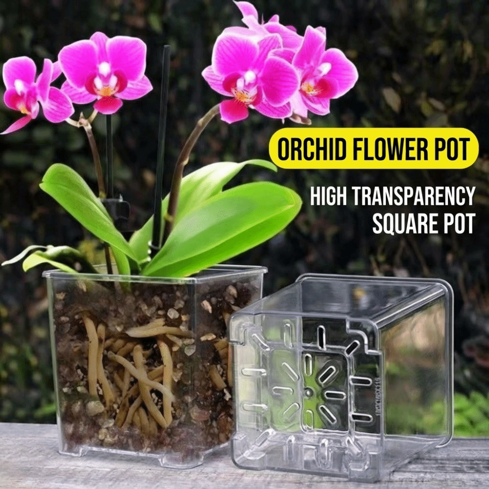 5PCS/Kit Clear Plastic Orchid  - Orchid Potting Mix review and price