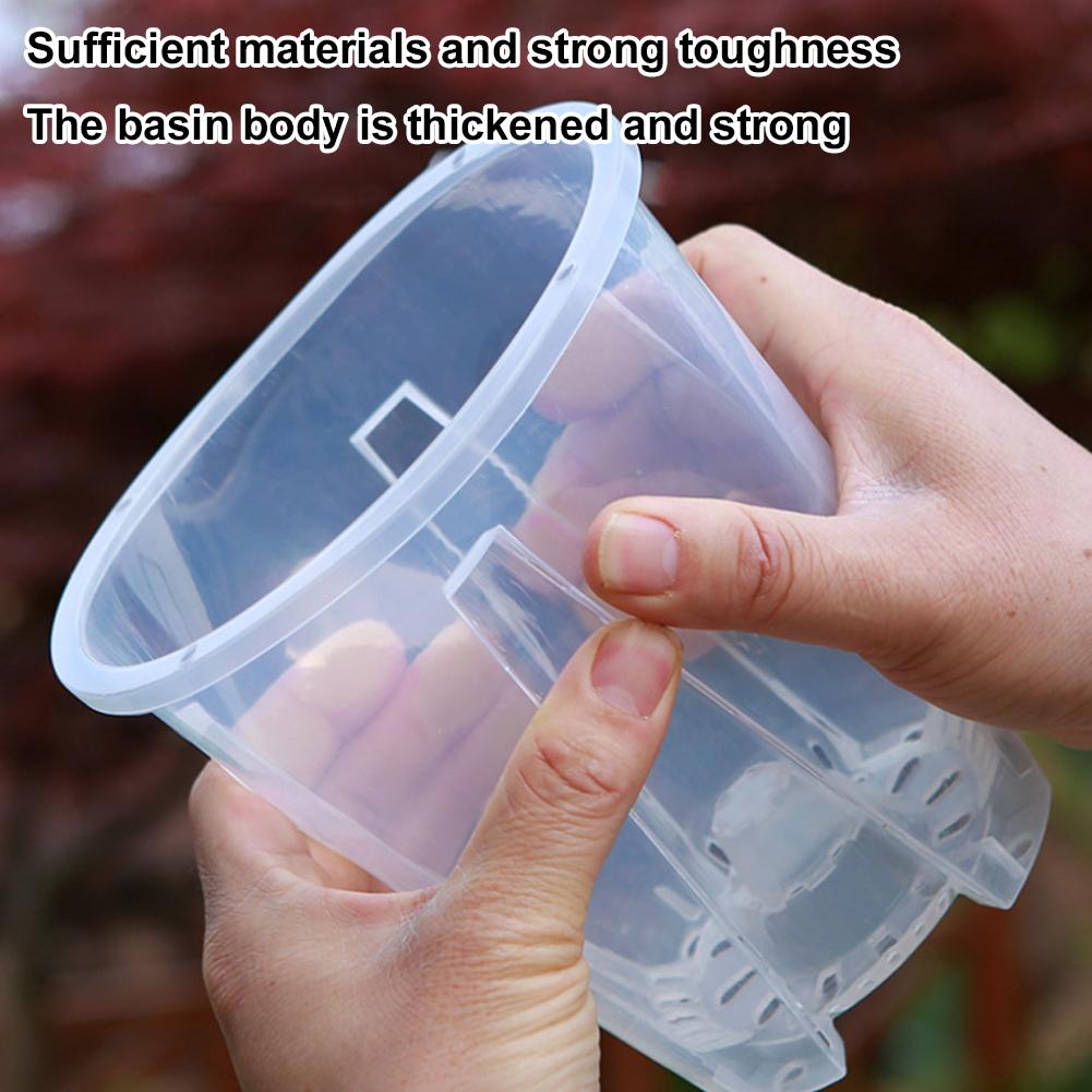 5PCS/Kit Clear Plastic Orchid  - Orchid Potting Mix review and price