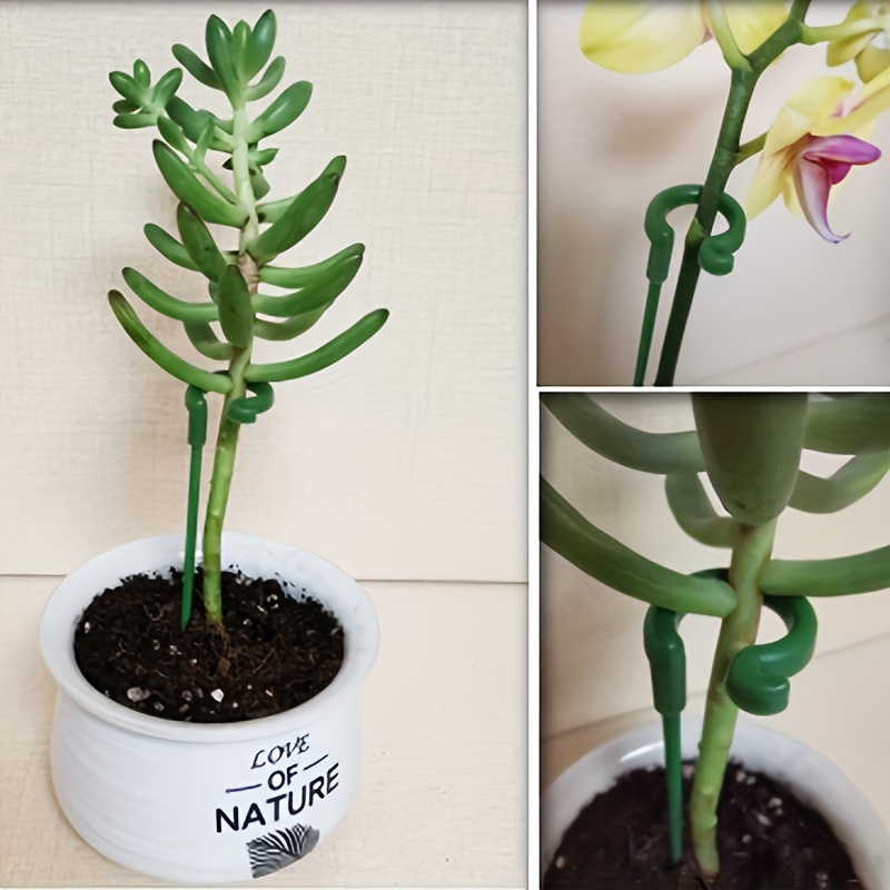 6Pcs Green Plastic Plant Suppo - Orchid Potting Mix review and price