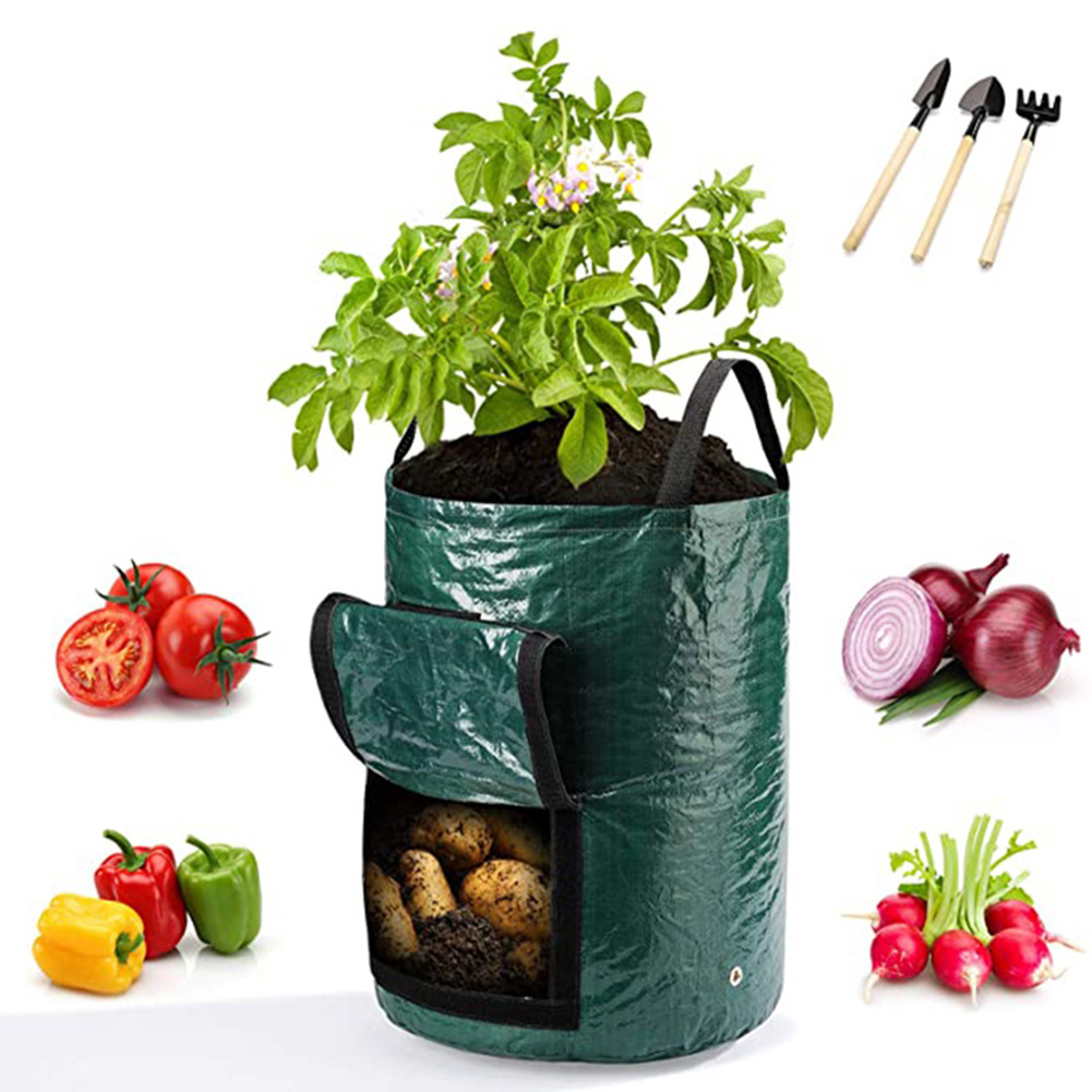 1pc 10-Gallon Grow Bags For Ve - Grow Bags review and price