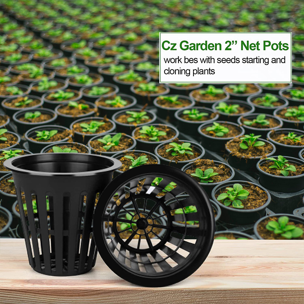 2inch Garden Nursery Pots Plan - Orchid Potting Mix review and price