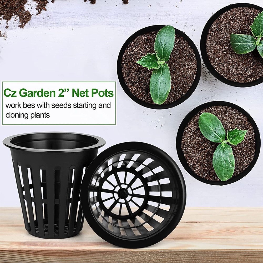 2inch Garden Nursery Pots Plan - Orchid Potting Mix review and price