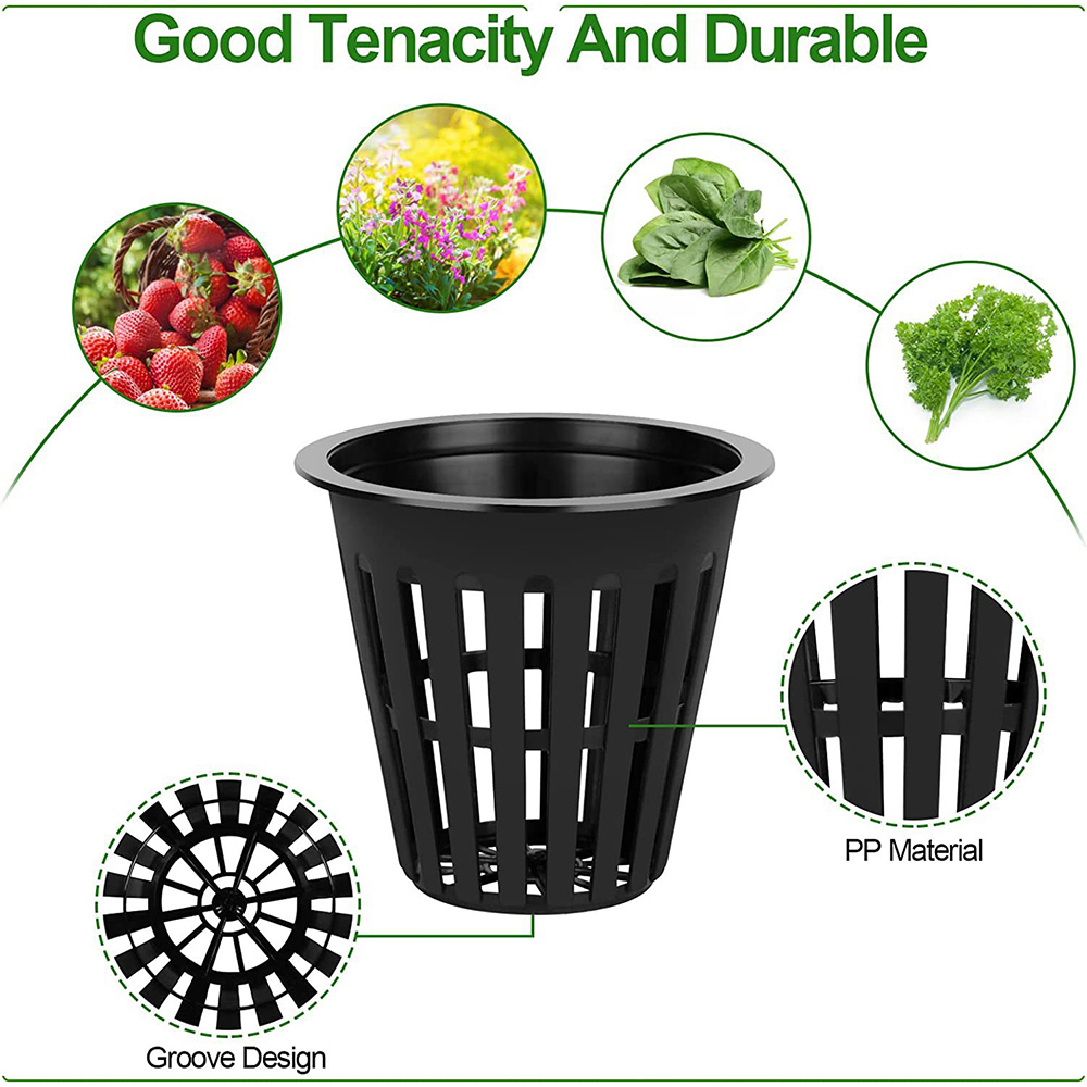 2inch Garden Nursery Pots Plan - Orchid Potting Mix review and price