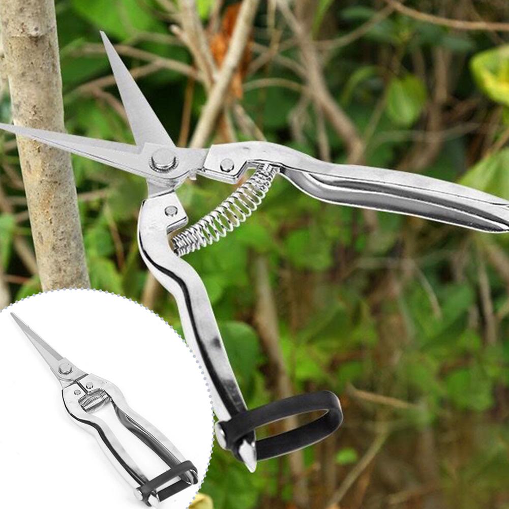 Pruner Pruning Shears Gardenin - Gardening Hand Tools Yard review and price